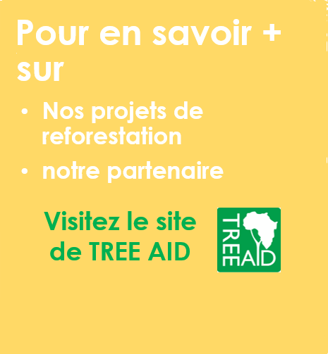 en savoir plus sur tree adi